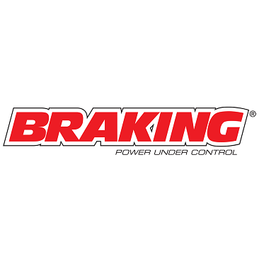 Braking Disco Freno Posteriore W-Fix Honda SilverWing Forza [HO21RID]